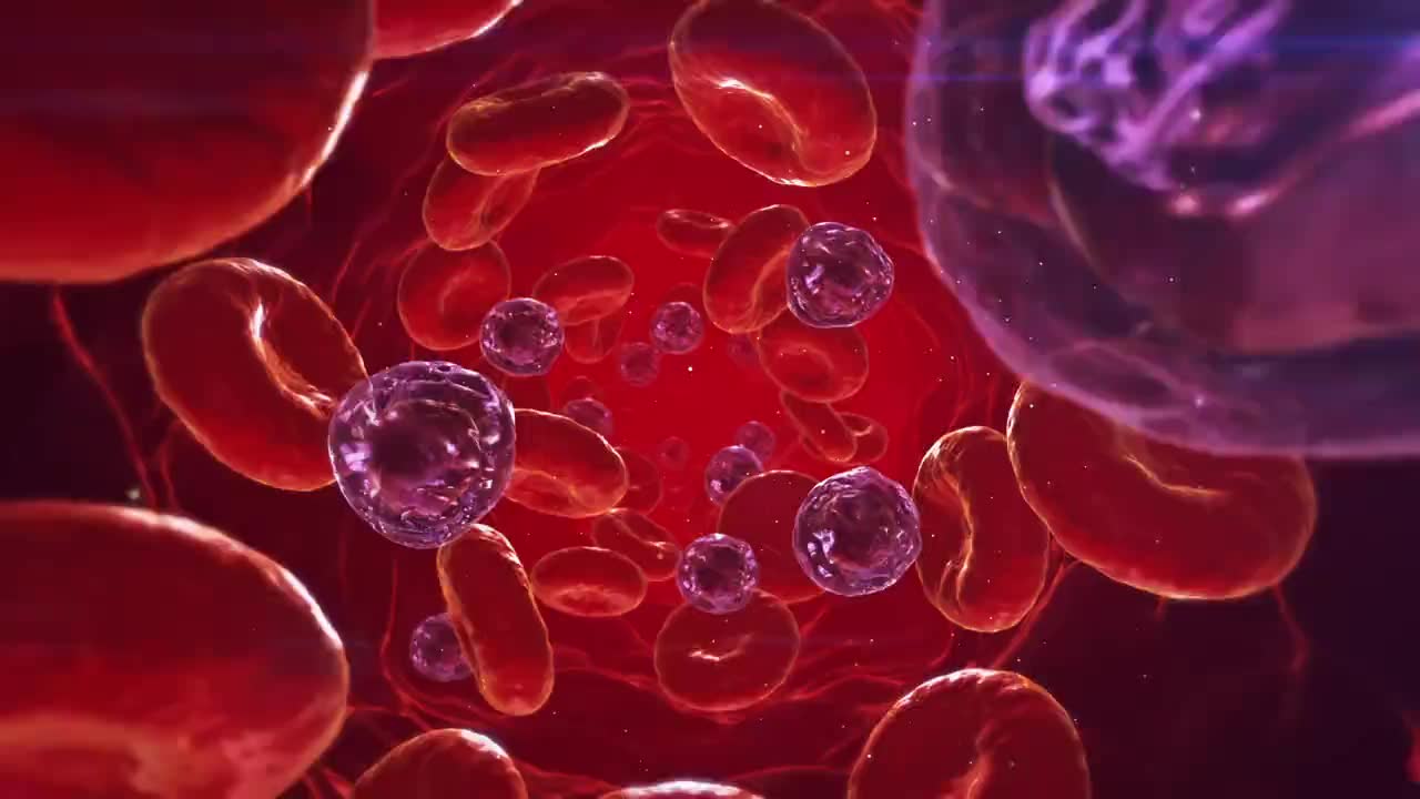 Laboratory Haematology